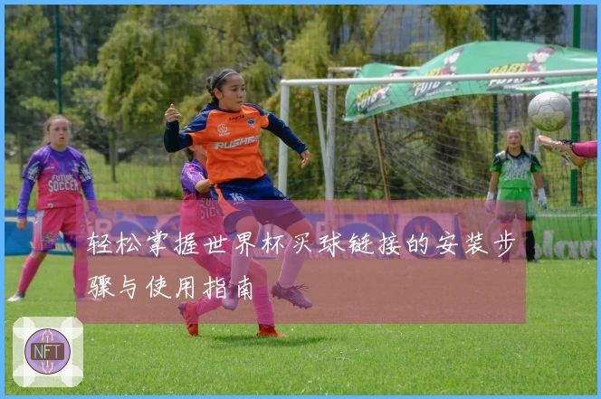 轻松掌握世界杯买球链接的安装步骤与使用指南