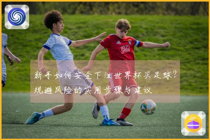 新手如何安全下注世界杯买足球？规避风险的实用步骤与建议