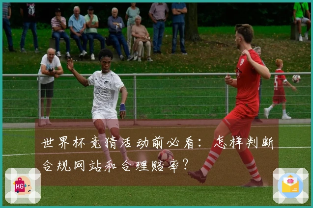 世界杯竞猜活动前必看：怎样判断合规网站和合理赔率？