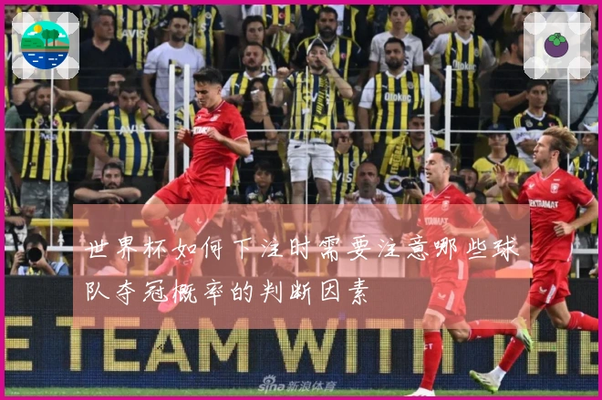 世界杯如何下注时需要注意哪些球队夺冠概率的判断因素
