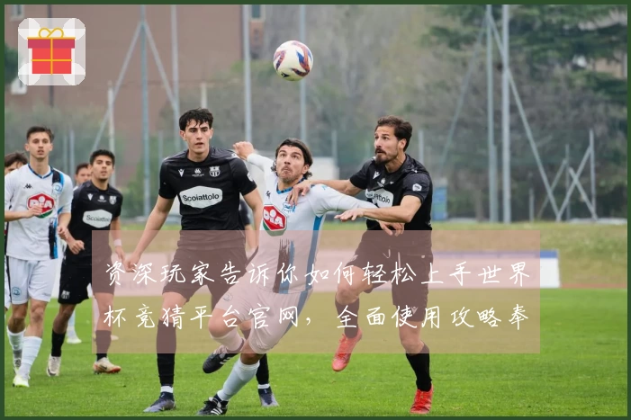 资深玩家告诉你如何轻松上手世界杯竞猜平台官网，全面使用攻略奉上