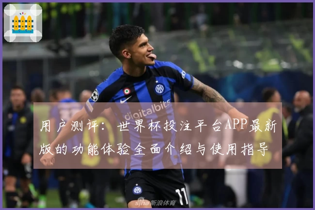 用户测评：世界杯投注平台APP最新版的功能体验全面介绍与使用指导