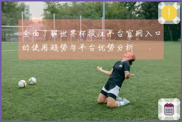 全面了解世界杯投注平台官网入口的使用趋势与平台优势分析