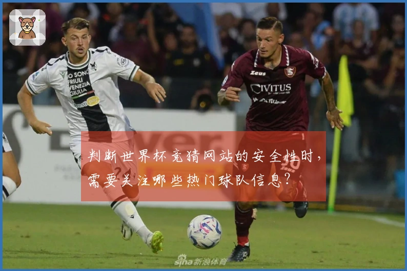 判断世界杯竞猜网站的安全性时，需要关注哪些热门球队信息？