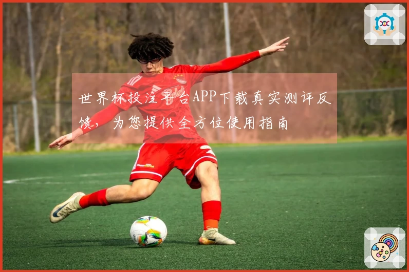 世界杯投注平台APP下载真实测评反馈，为您提供全方位使用指南