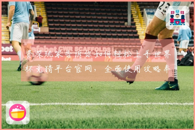资深玩家告诉你如何轻松上手世界杯竞猜平台官网，全面使用攻略奉上