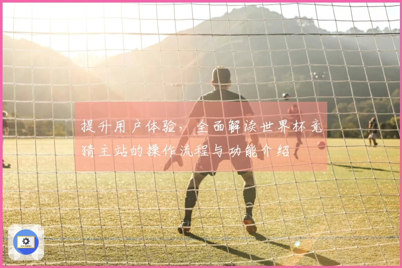 提升用户体验，全面解读世界杯竞猜主站的操作流程与功能介绍
