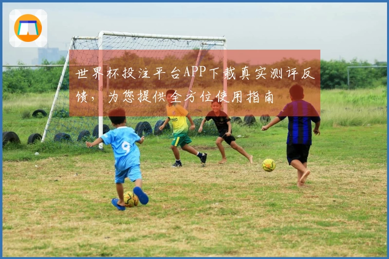 世界杯投注平台APP下载真实测评反馈，为您提供全方位使用指南