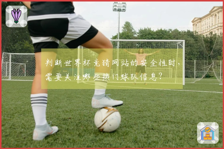 判断世界杯竞猜网站的安全性时，需要关注哪些热门球队信息？