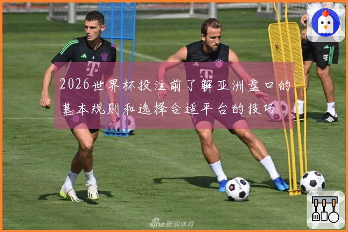 2026世界杯投注前了解亚洲盘口的基本规则和选择合适平台的技巧